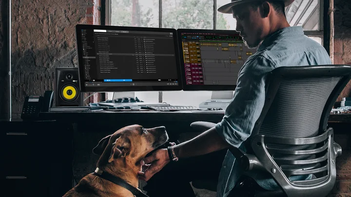 A sound designer and a dog beside a desktop workstation running Soundly.